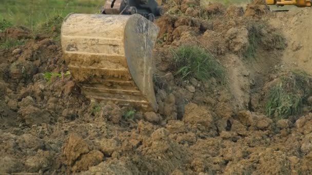 Excavadora carga un camión — Vídeos de Stock