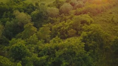 bir kuş bakışı görünüme ile manzara