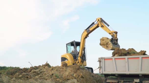 Graafmachine ladingen een vrachtwagen — Stockvideo