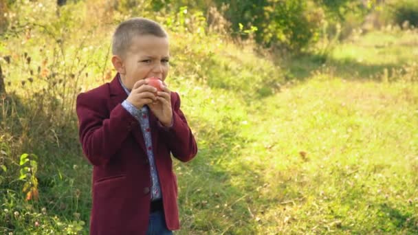 le garçon mange une pomme 