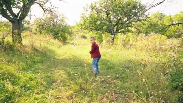 garçon avec un télescope dans la nature 
