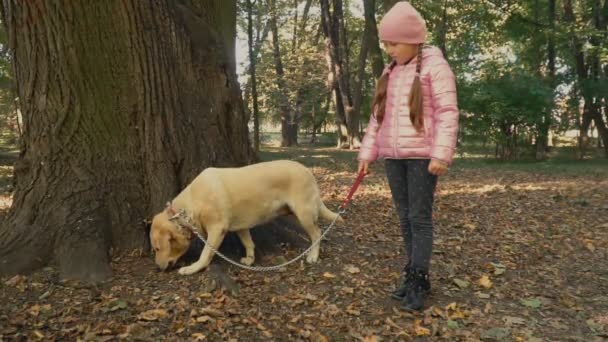 Meisje met een labrador — Stockvideo