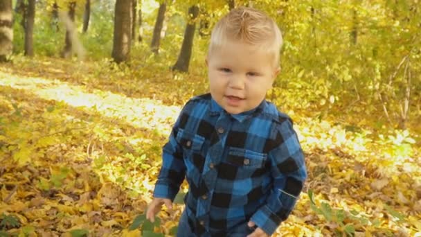 Niño Pequeño Camina Bosque Otoño — Vídeo de stock