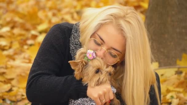 Chica con un perro crianza Yorkshire Terrier — Vídeo de stock