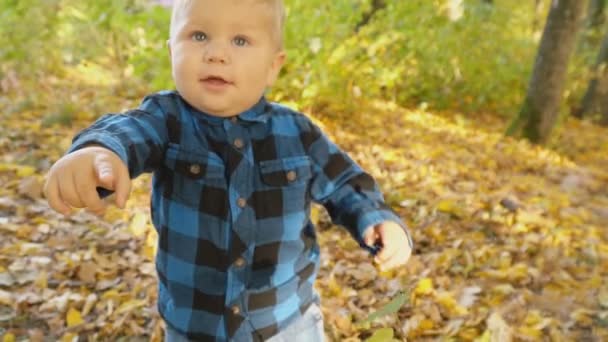petit garçon dans la forêt d'automne