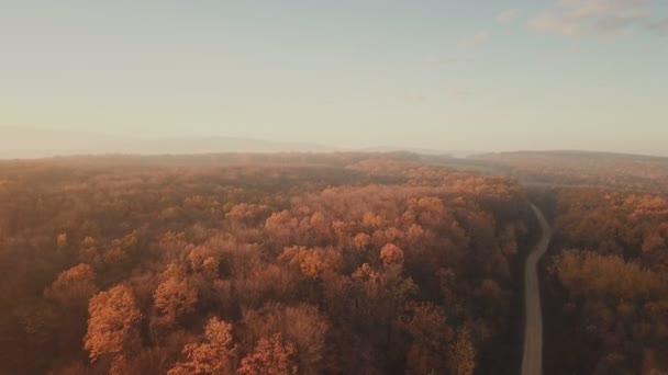 Luftaufnahme Straße Herbstlichen Wald — Stockvideo