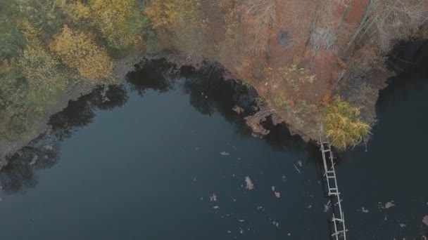 Lago en el bosque de otoño — Vídeo de stock