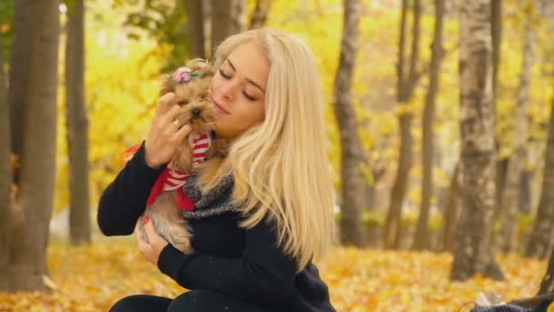 Chica con un perro crianza Yorkshire Terrier — Vídeo de stock