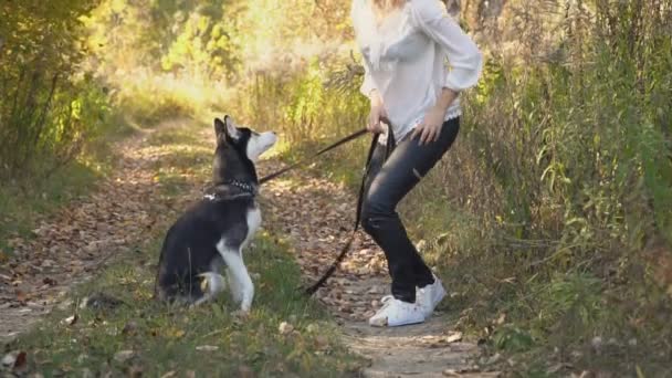 Menina com uma raça de cão Husky — Vídeo de Stock