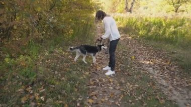 bir köpek ırkı Husky kızla