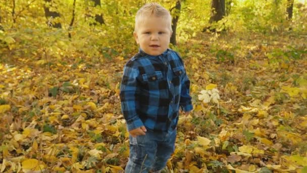 petit garçon dans la forêt d'automne