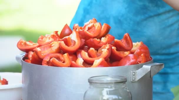 Προετοιμασία για την προετοιμασία της κόκκινης πιπεριάς — Αρχείο Βίντεο