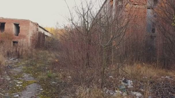 Заброшенное здание фабрики — стоковое видео