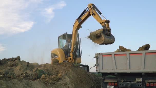 Excavator loads a truck — Stock Video