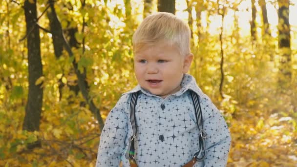 petit garçon dans la forêt d'automne