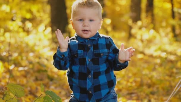 Niño pequeño en el bosque de otoño — Vídeos de Stock