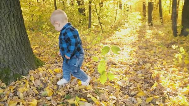 petit garçon dans la forêt d'automne