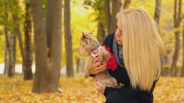 Meisje met een hondenras Yorkshire Terriër — Stockvideo