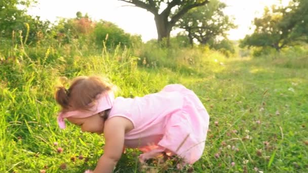 Little girl in pink dress — Stock Video