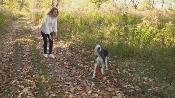 Fille avec une race de chien Husky — Video