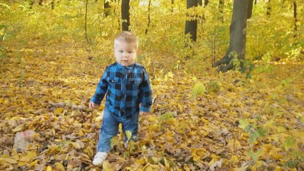 Niño pequeño en el bosque de otoño — Vídeo de stock