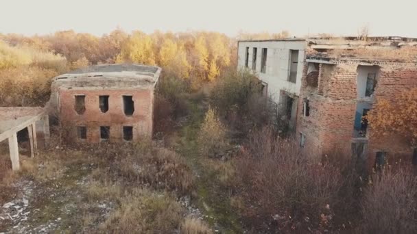 Edificio de fábrica abandonado — Vídeo de stock