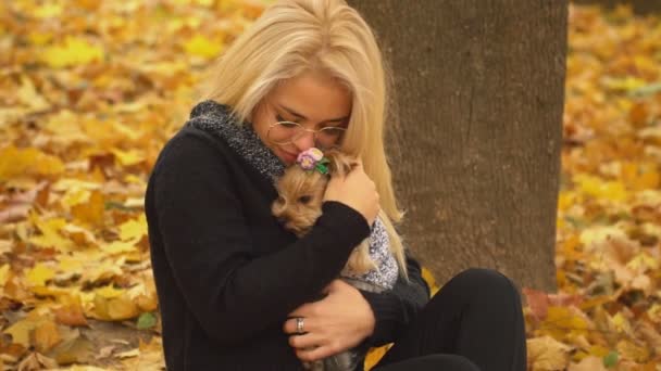 Meisje Met Een Hondenras Terriër Van Yorkshire Het Najaar Park — Stockvideo