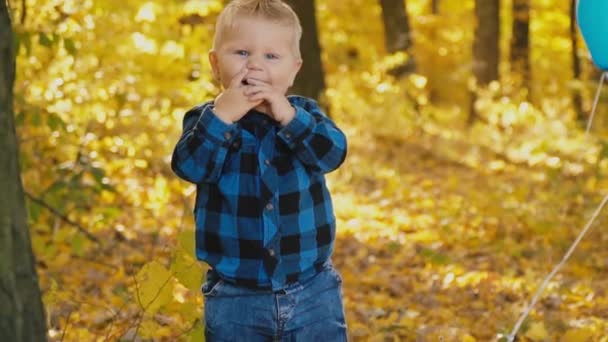 Kleiner Junge im Herbstwald — Stockvideo