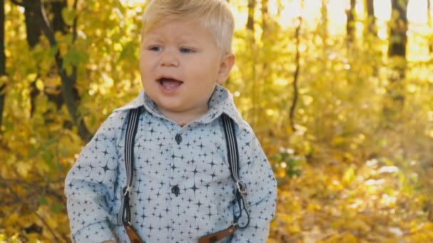 petit garçon dans la forêt d'automne