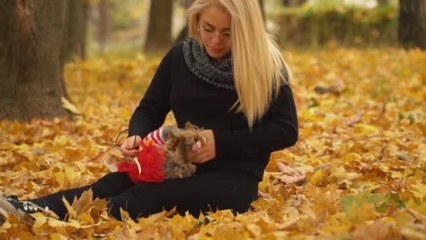 Dívka s psí plemeno Yorkshire teriér — Stock video