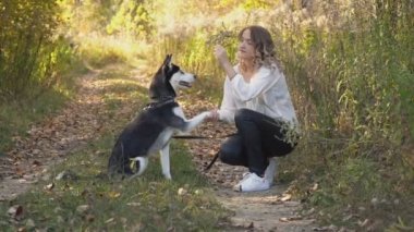 bir köpek ırkı Husky kızla
