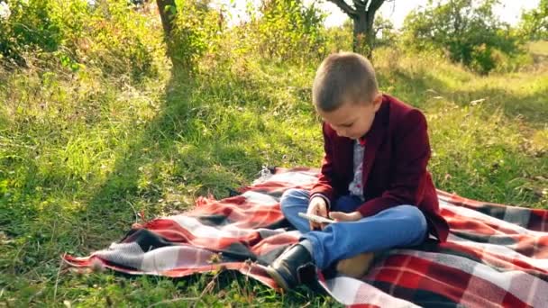 Niño jugando en el teléfono en los juegos — Vídeo de stock