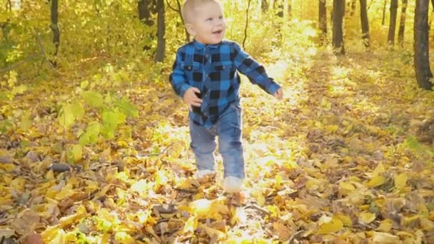 Μικρό αγόρι στο φθινόπωρο δάσος — Αρχείο Βίντεο