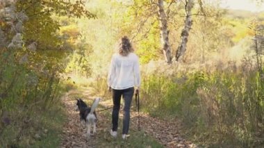 bir köpek ırkı Husky kızla