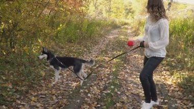 bir köpek ırkı Husky kızla