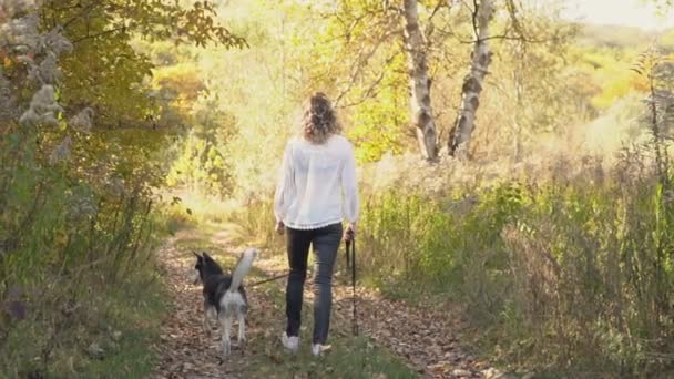 Chica con un perro crianza husky — Vídeos de Stock