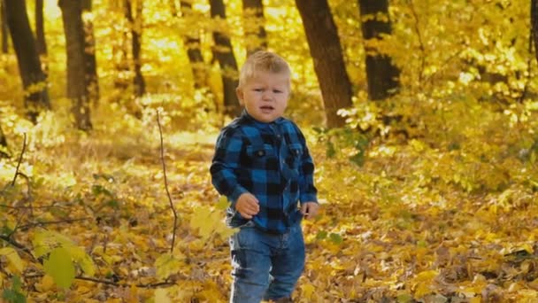 petit garçon dans la forêt d'automne