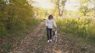 bir köpek ırkı Husky kızla
