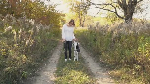 Meisje met een hondenras Husky — Stockvideo