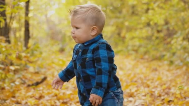 Kleine jongen spelen met ballen — Stockvideo