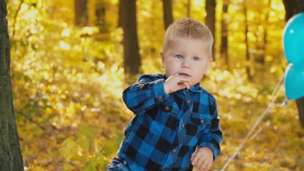 petit garçon dans la forêt d'automne