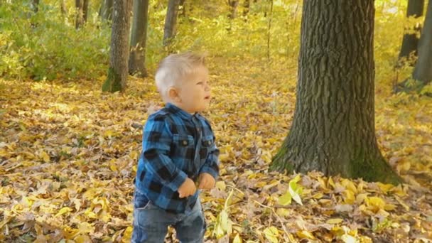 petit garçon dans la forêt d'automne