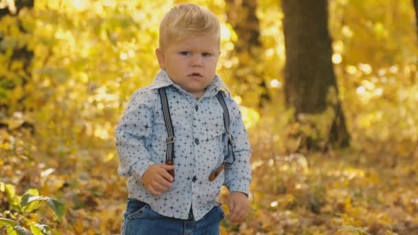 Niño pequeño en el bosque de otoño — Vídeo de stock