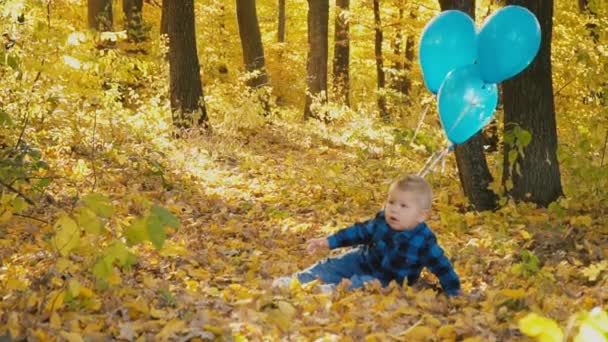 Niño pequeño en el bosque de otoño — Vídeos de Stock