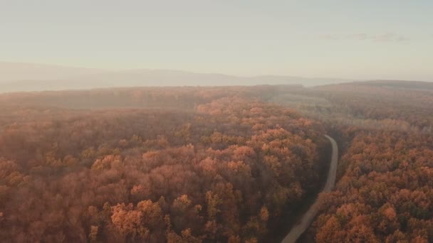 Дорога в осеннем лесу — стоковое видео