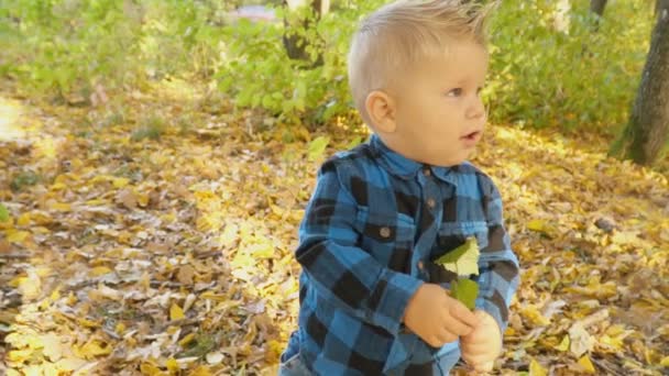가을 숲 속의 작은 소년 — 비디오