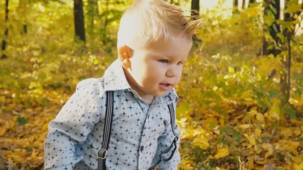 Niño pequeño en el bosque de otoño — Vídeos de Stock