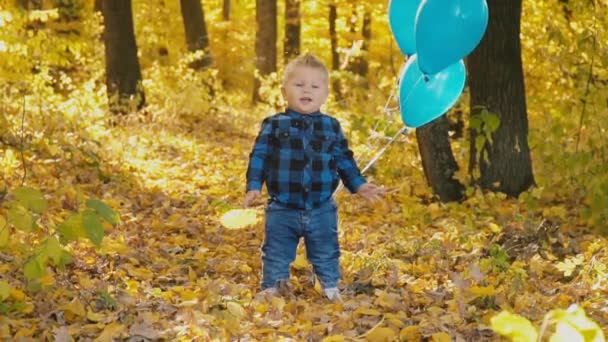 Menino na floresta de outono — Vídeo de Stock