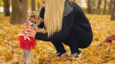 kızla köpek doğurmak Yorkshire korkunç