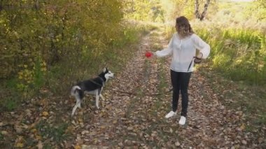 bir köpek ırkı Husky kızla